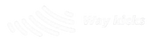 Way Kicks
